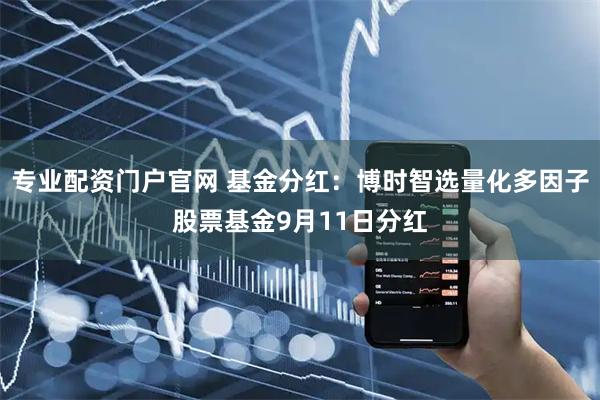 专业配资门户官网 基金分红：博时智选量化多因子股票基金9月11日分红